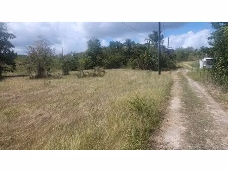 courcelles  beau terrain plat de 500m²