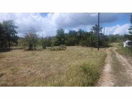 vers le freddys house  beau terrain plat de 1000m²