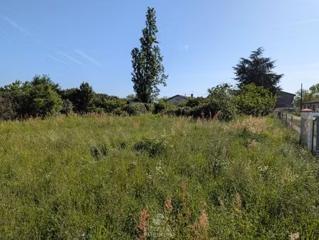 terrain