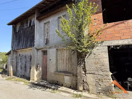 vente maison 3 pièces 111 m² à mane (31260)  55 500 €