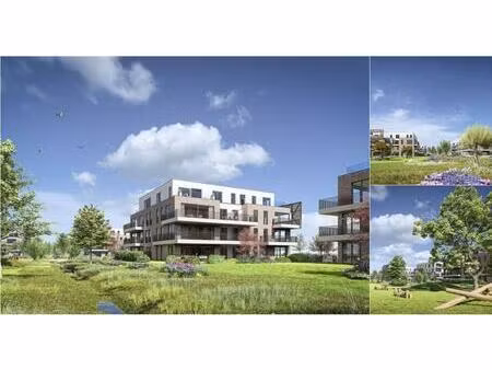 appartement à vendre à sportweg stabroek (rbv75197)