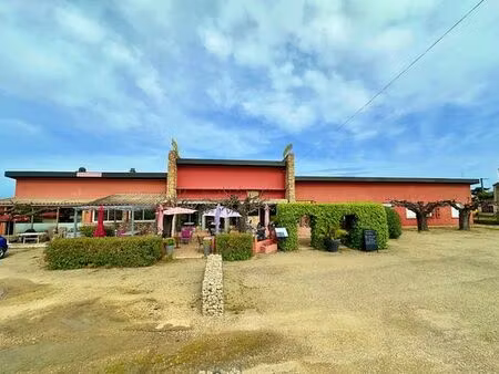 maison de luxe de 14 pièces en vente à suze-la-rousse  france