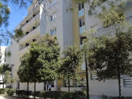 location appartement 1 pièce 24m² montpellier 34000