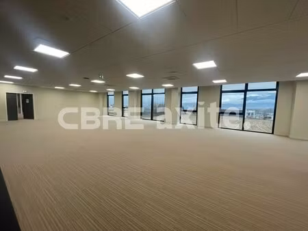 location local professionnel 330m² chavanod 74650