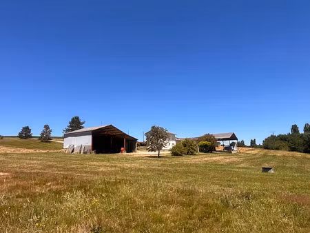 vente maison 5 pièces 141.44 m² à pellegrue (33790)  183 000 €
