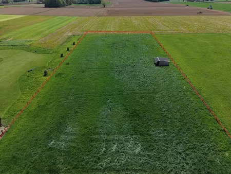 zeer vlot bereikbare weide