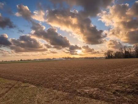 landbouwgrond te koop!!