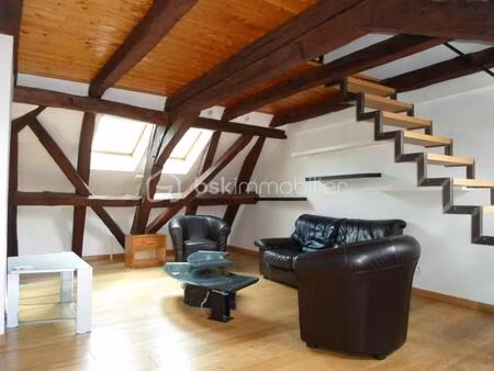 montbéliard centre ville  très bel appartement t3 meublé  en duplex  spacieux et lumineux 