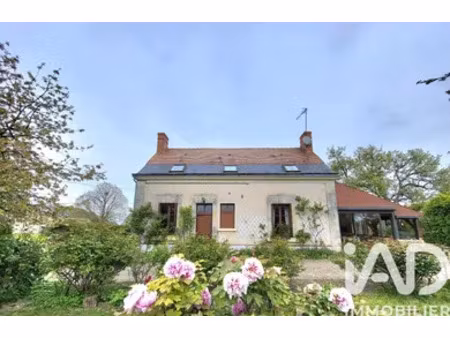 maison à neuillé pont pierre (37360)