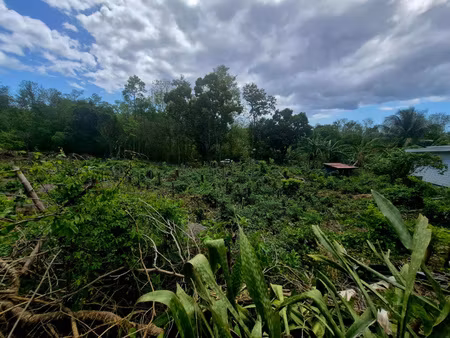 terrain a vendre pointe noire section morhpy