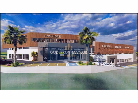 achat local professionnel 77m² les abymes 97139