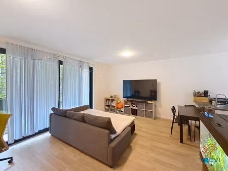 europese wijk - appartement met 2 slaapkamers - belview !