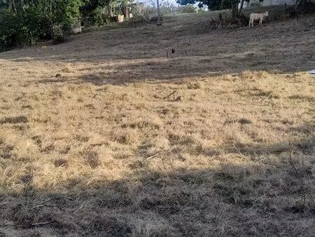 valette - beau terrain plat de 3 000 m²