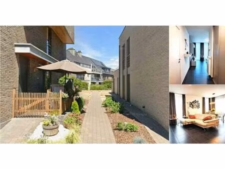 appartement à louer à oude statiestraat hoeselt (rbv75021)