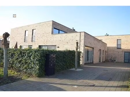 rez-de-chaussée à louer à mispelweg 6 willebroek (rbv75169)