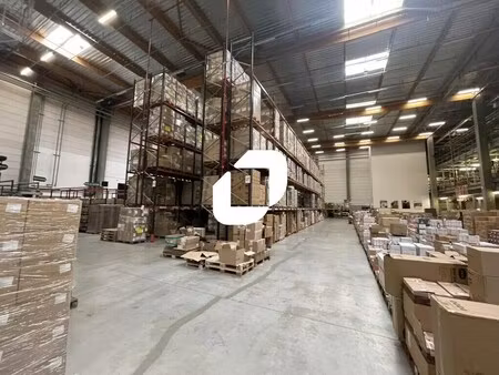 location entrepôt 8 115 m² à 16 230 m²