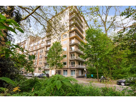 appartement te koop in antwerpen met 3 slaapkamers