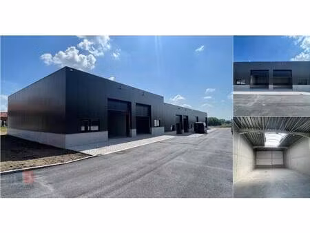 surface industrielle à vendre à deinsesteenweg 121 tielt (rbv75209)