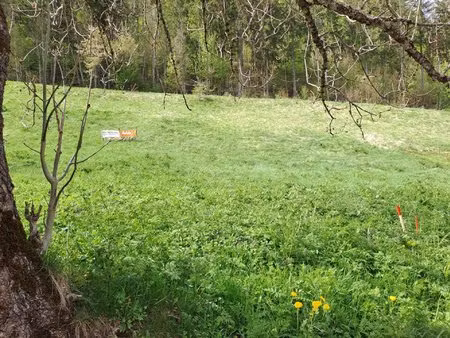 mijoux /lajoux : 2 parcelles constructibles