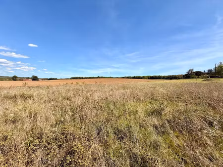 vente terrain 1000 m² saint-agne (24520)