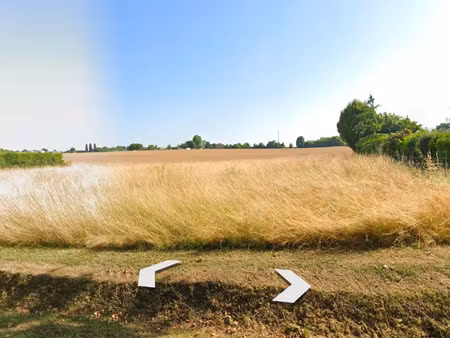 vente terrain 1100 m² ozillac (17500)