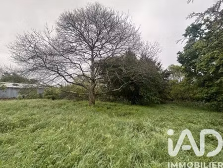 terrain à bâtir à saint julien des landes (85150)