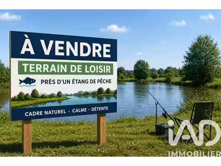 terrain à saint benoit sur loire (45730)