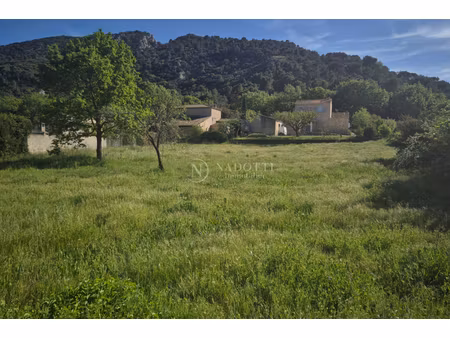 annonce terrain à vendre