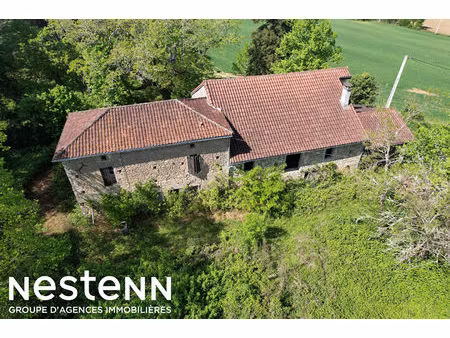 a vendre maison en pierre à rénover avec grand terrain a 20 min d'agen