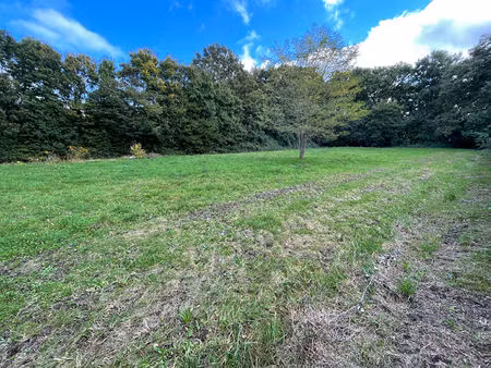 terrain constructible hors lotissement à saint sulpice sur loire d'une superficie de 984m2
