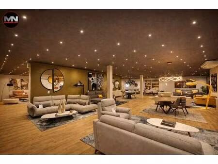 mn immobilier