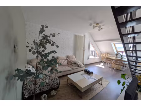 annonce appartement à louer