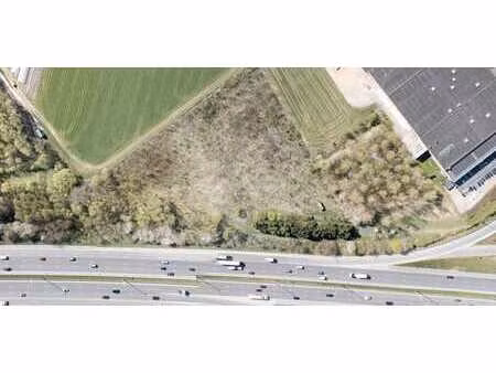 3 parcelles de terrain naturel en flandre