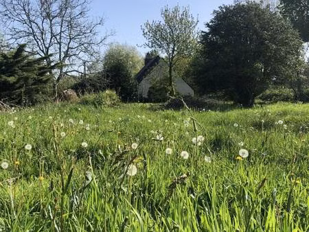 terrain constructible viabilisé à vendre