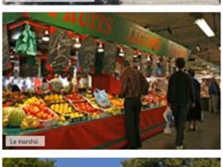 achat : appartement (94350)