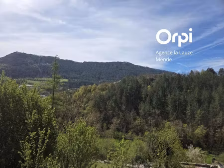 vente terrain 1786 m² mende (48000)