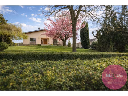 custines  tout simplement !