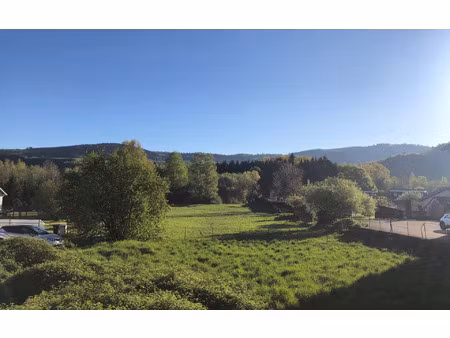 terrain fraize m² t- à vendre  42 000 €