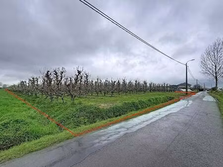 terrain à vendre à beveren-waas € 84.000 (lnhsn) - katherine de wispelaere | zimmo