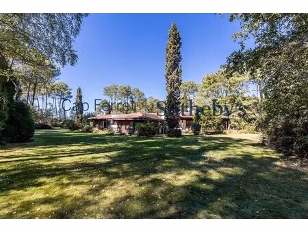 maison de luxe à vendre à lugos