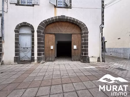 local professionel avec terrasse de 35m²