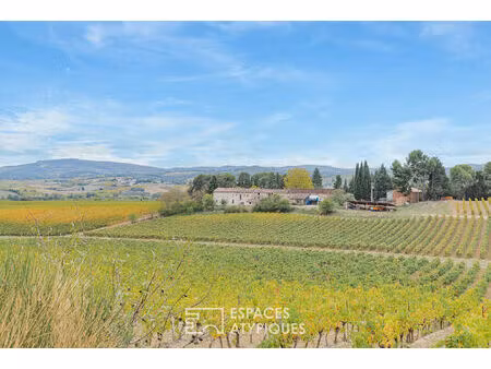 domaine viticole d'exception - vues panoramiques sur les pyrénées