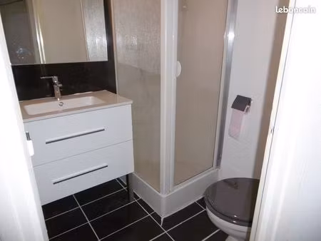 studio 15 m2 tres calme (plein centre)