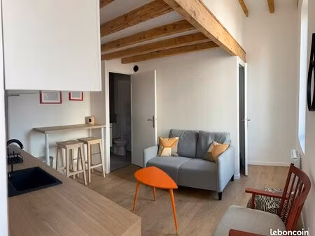 charmant t1 villeurbanne