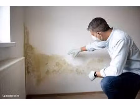 appartement humide et pas aux normes