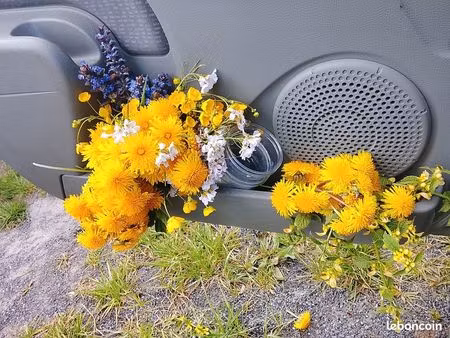 recherche ferme à louer