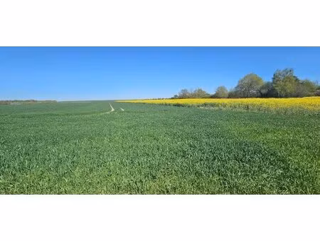 terrain agricole de 1 1565 ha à saint-forget