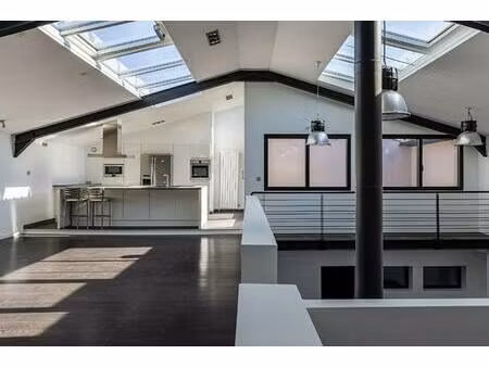 loft en duplex inversé avec terrasse et volume cathédrale