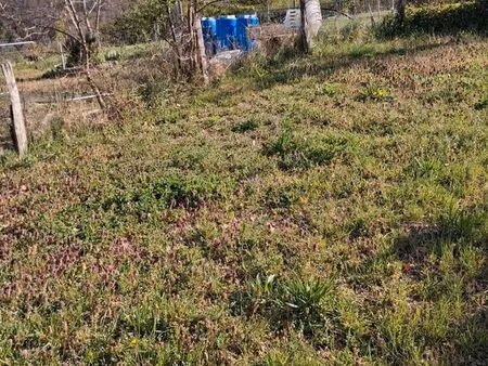 terrain en location pour jardin potager à thurins