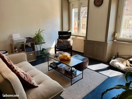 appartement pour location t2 59m² centre héricourt – calme  lumineux